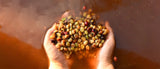 La fermentación y el café