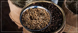Clasificación del Café