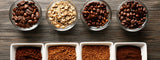 7 variedades de café en España latienda.delcafé