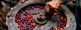 Café yemení Todo lo que necesitas saber