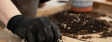 Cómo reutilizar los restos de café en tu jardín