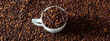 ¿Cómo se hace un perfil de tueste para el espresso? latienda.delcafé