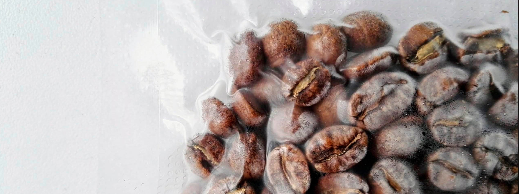 Freezing Coffee Beans: Discovering the Art of Preservation and Freezing – latiendadelcafe-co