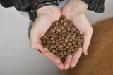 ¿Qué es un café de especialidad?