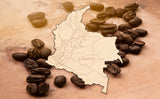 Estadísticas de Producción de Café en Colombia 2025