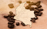 Estadísticas de Producción de Café en Colombia 2025 latienda.delcafé