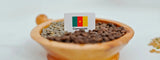 Explorando la Cultura y Producción del Café en Camerún latienda.delcafé
