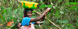 Explorando la Cultura y Producción del Café en Sierra Leona latienda.delcafé