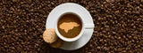 Explorando la Riqueza Cafetera de Honduras