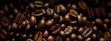 Guía para Tostar Café Robusta: Proceso, Técnicas y Consideraciones latienda.delcafé