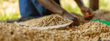 Los retos de la producción de café en el siglo XXI latienda.delcafé