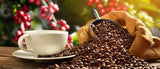 Día Internacional del Café