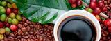 Estadísticas de consumo de café robusta en Latinoamérica