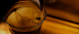 Café de Origen Cauca, un café con sabor a cordillera