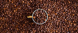 Certificación Q Processing en el mundo del café