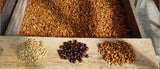 Conoce más acerca del café honey