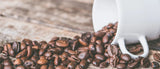 Explorando el Café Mexicano