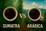 Café de Sumatra vs Arábica: Una Batalla de Sabores y Orígenes